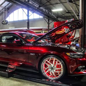 Meet your Posher, Jerry